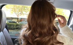 Loại hạt nhỏ dễ bị “xem thường” nhưng cải thiện tóc cực tốt, cứu tinh mùa tóc rụng là đây!