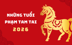 Năm 2026 những tuổi nào phạm Tam Tai?