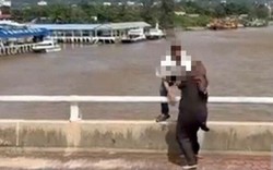 Đang lái ô tô thì cãi nhau với vợ, người đàn ông dừng xe rồi nhảy cầu trước sự hoang mang của bạn đời
