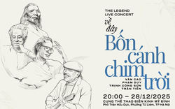 Biết nghệ sĩ rút lui, vì sao BTC Về Đây Bốn Cánh Chim Trời không báo huỷ sớm cho khán giả?