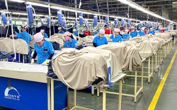 2.640 công nhân Công ty Panko Vina sắp mất việc sẽ được giới thiệu việc làm mới