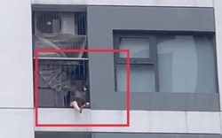 Bức ảnh chụp lô gia căn hộ chung cư khiến nhiều người giật mình thắc mắc: Sao có thể như vậy?