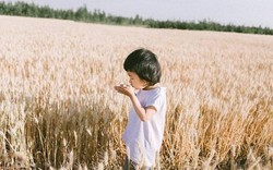 10 năm nữa, những đứa trẻ thành công nhất thường bước ra từ 7 kiểu gia đình này: Cha mẹ rất nên đọc