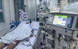 'Cơn bão Cytokine' trong sốt xuất huyết gây tổn thương tụy hiếm gặp