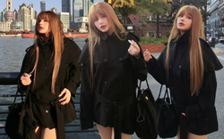 Vắng Gil Lê, Xoài Non biến thành Lisa lúc nào không hay