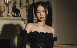 T.H.M - "thế lực" mới quản lý độc quyền AMEE là ai?