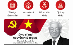 Kiểm tra điều này trên VNeID trước 15/12 để tránh bị phạt tiền