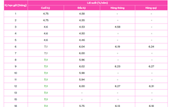 Một ngân hàng trả lãi suất tiết kiệm 8,1%/năm cho kỳ hạn 6 tháng với số tiền gửi từ 1 tỷ đồng