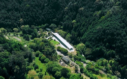 Đôi vợ chồng chi hơn 12 tỷ đồng mua mảnh đất 16.000m2 để nghỉ hưu sớm: “1 năm sau tôi phải quay lại thành phố, mọi thứ khác xa tưởng tượng”