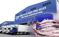 Ái nữ của Chủ tịch một doanh nghiệp đầu ngành muốn chi hàng trăm tỷ đồng sở hữu cổ phiếu