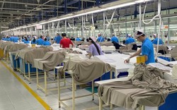 Tin vui: 7 DN ở TP HCM tiếp nhận hơn 2.700 công nhân mất việc trước Tết từ công ty Hàn Quốc