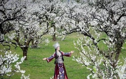 Dịp nghỉ Tết Dương lịch 2026: Du lịch sôi động