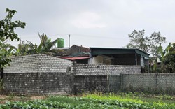 Vụ chồng chém vợ và cháu trai tử vong rồi tự sát: Chuẩn bị hòa giải ly hôn thì xảy ra chuyện