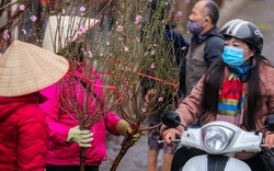 Đón gió mùa Đông Bắc đúng đêm giao thừa, Bắc Bộ có nơi dưới 7 độ C: Hà Nội rét đậm, nhiệt độ giảm ra sao?