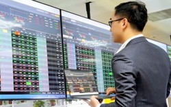 Tăng hơn 500 điểm trong năm 2025, VN-Index lên đỉnh cao lịch sử