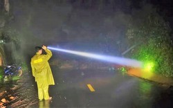 Đèo nối Đà Lạt với TP.HCM sạt lở trong đêm, cấm phương tiện 2 chiều