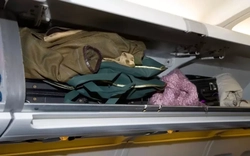 Sai lầm khi để áo khoác trong ngăn hành lý máy bay
