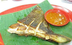 6 loài cá ăn được "nguy hiểm nhất thế giới", có tiền chưa chắc đã được ăn!