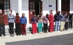 Đột kích sới bạc trong rừng, 14 đối tượng ‘có số má’ bị bắt giữ