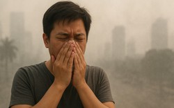 Bụi mịn PM2.5: 'Sát thủ thầm lặng' thâm nhập vào máu, gây hại tim và não