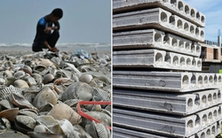 Phát minh có thể làm rung chuyển ngành xây dựng: Dùng thứ bị bỏ đi ở khắp các bờ biển để trộn thêm, giúp bê tông cứng hơn 20%, giảm phát thải CO2 đến 36%