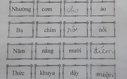 Thua học sinh tiểu học rồi!