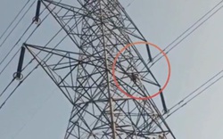 Bị từ chối kết hôn, nam thanh niên trèo lên cột điện đòi tự tử
