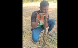 Người đàn ông hô hấp nhân tạo, cứu sống con rắn bị điện giật