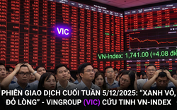 Cổ phiếu VIC và phần còn lại của thị trường chứng khoán