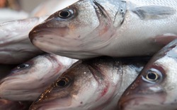 10 mẹo chọn cá tươi người bán không muốn bạn biết