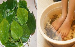 Ngâm chân nước nóng có rất nhiều lợi ích nhưng 5 nhóm người này tốt nhất đừng làm - càng làm nhiều càng hại