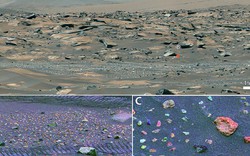 Một vùng đất ngoài hành tinh từng giống Đông Nam Á về khí hậu