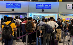 Ngành hàng không Ấn Độ hỗn loạn, 1.000 chuyến bay bị huỷ chỉ trong vài ngày: Điều gì khiến hàng nghìn hành khách mắc ket?