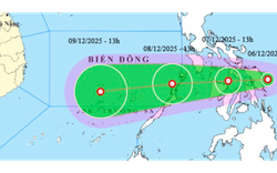 Áp thấp nhiệt đới giật cấp 8 sắp vào Biển Đông