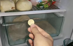 Người thông minh bỏ 1 đồng xu vào tủ lạnh trước khi vắng nhà dài ngày: Lý do nghe xong ai cũng phải gật gù đồng ý