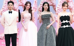 Siêu thảm đỏ AAA 2025: "Công chúa" Jang Won Young so kè visual cực gắt bên Yoona - IU, Park Bo Gum hóa "bạch mã hoàng tử"