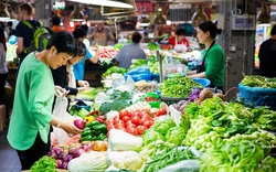 4 loại rau sạch cực ít thuốc trừ sâu, vừa bổ dưỡng còn tốt cho sức khỏe: Đi chợ yên tâm mua ngay kẻo hết