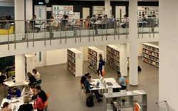 3 ngành AI khuyên nên học trong năm 2026