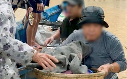 Vụ mẹ và bé sơ sinh xin vào tránh lũ nhưng bị từ chối: Phó Giám đốc Sở Y tế đến tận nhà xin lỗi