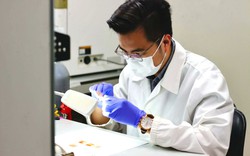 Chàng trai lấy bằng tiến sĩ ở tuổi 27, chọn về nước theo đuổi ngành bán dẫn