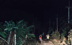 Hơn 100 sinh vật khổng lồ tràn qua khu rừng lúc 2h sáng, cảnh tượng khiến người dân thấp thỏm cả đêm