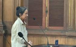 Kế toán Nguyễn Thị Thu Trang lãnh án chung thân