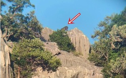 Kiểm lâm bất ngờ phát hiện loài vật cổ xưa trên sườn núi, người dân không khỏi xôn xao