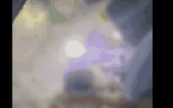 CLIP: Thời khắc bé sơ sinh nghi bị "chôn sống" được cứu