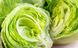 2 loại rau "khoái khẩu" mùa lạnh dễ thành ổ sán, nhất cái số 1 ngoài chợ bán nhiều