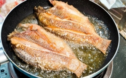 Rán cá đừng chỉ đổ mỗi dầu vào chảo: Thêm đúng 2 thứ này, không bắn dầu, không dính chảo, cá lại giòn thơm