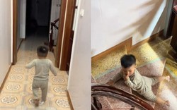 Clip em bé trượt cầu thang gây tranh cãi, thu hút 8 triệu lượt xem trên TikTok