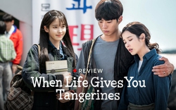 When Life Gives You Tangerines: Khi đời cho ta một quả quýt, hãy pha trà và cùng thưởng thức nó!