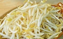 Nên ăn giá đỗ sống hay chín?