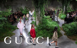 Gucci lao dốc, đối mặt với khủng hoảng trầm trọng